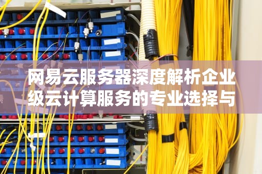 网易云服务器深度解析企业级云计算服务的专业选择与实践指南
