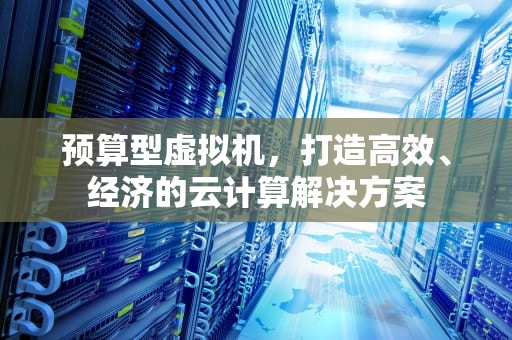 预算型虚拟机，打造高效、经济的云计算解决方案