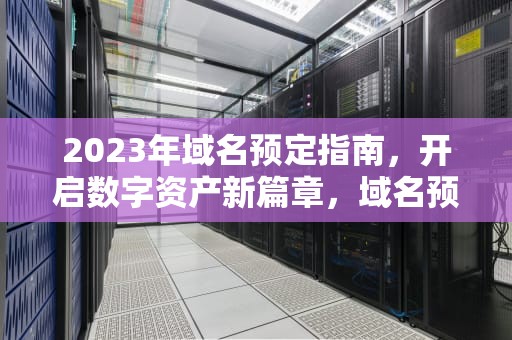 2023年域名预定指南，开启数字资产新篇章，域名预定平台