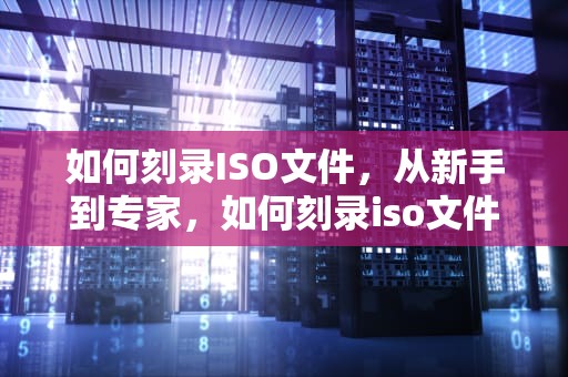 如何刻录ISO文件，从新手到专家，如何刻录iso文件到DVD光盘