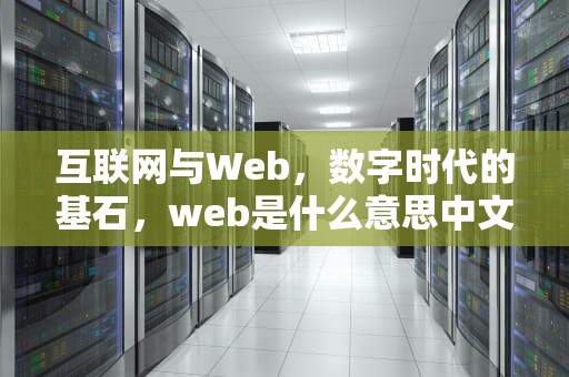 互联网与Web，数字时代的基石，web是什么意思中文翻译