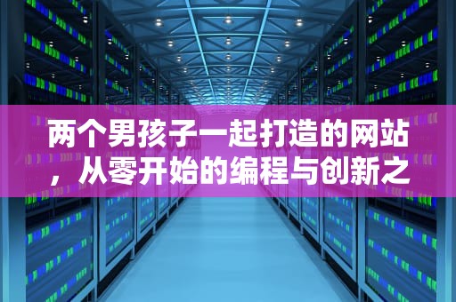 两个男孩子一起打造的网站，从零开始的编程与创新之旅，两个男孩子怎么做那个小说