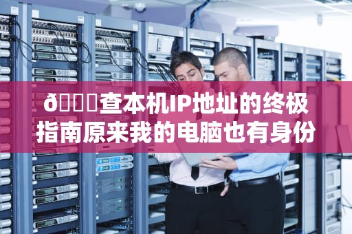 🔍查本机IP地址的终极指南原来我的电脑也有身份证号？🔍
