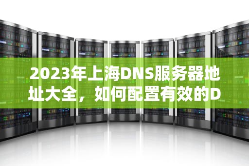 2023年上海DNS服务器地址大全，如何配置有效的DNS服务器，上海dns地址是多少