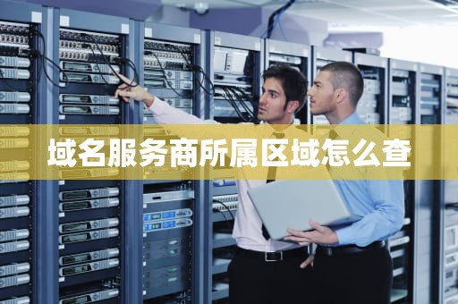 域名服务商所属区域怎么查
