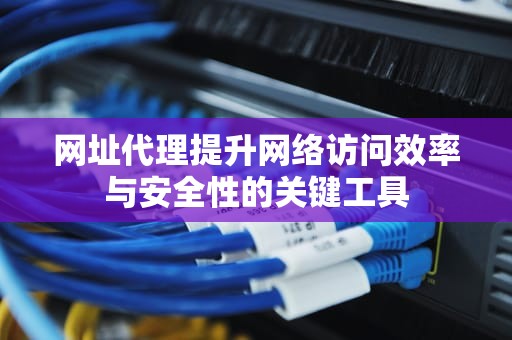 网址代理提升网络访问效率与安全性的关键工具