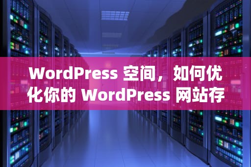 WordPress 空间，如何优化你的 WordPress 网站存储资源，wordpress空间推荐