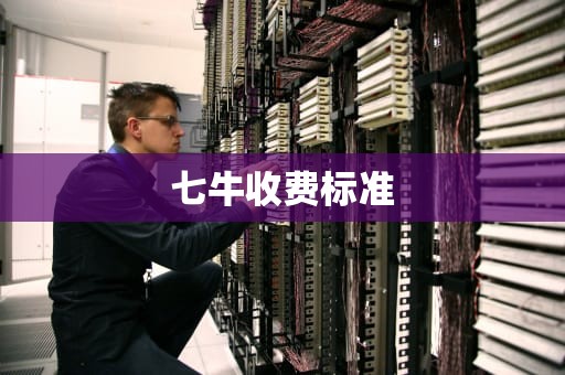 七牛收费标准