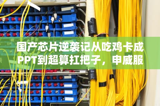 国产芯片逆袭记从吃鸡卡成PPT到超算扛把子，申威服务器经历了什么？