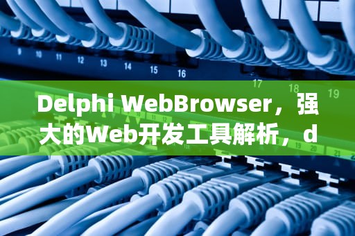 Delphi WebBrowser，强大的Web开发工具解析，delphi webbrowser 调用函数