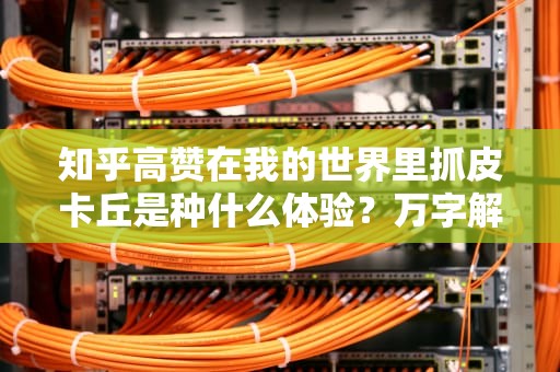 知乎高赞在我的世界里抓皮卡丘是种什么体验？万字解析神奇宝贝服务器的硬核玩法
