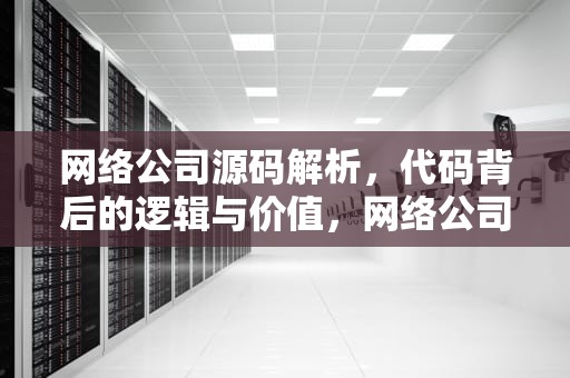 网络公司源码解析，代码背后的逻辑与价值，网络公司官网源码