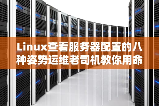 Linux查看服务器配置的八种姿势运维老司机教你用命令行摸清家底