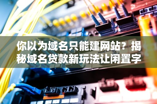 你以为域名只能建网站？揭秘域名贷款新玩法让闲置字母组合变身提款机