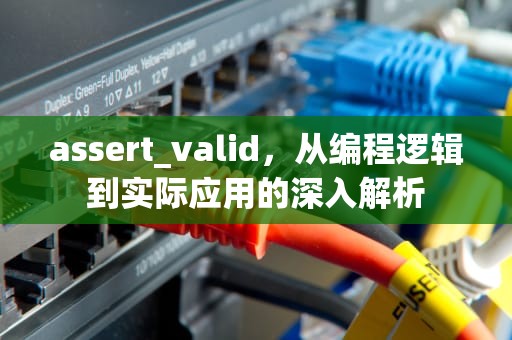 assert_valid，从编程逻辑到实际应用的深入解析