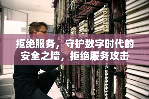 拒绝服务，守护数字时代的安全之墙，拒绝服务攻击