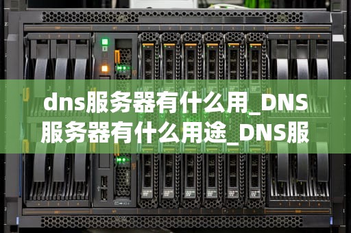 dns服务器有什么用_DNS服务器有什么用途_DNS服务器的重要性及其应用