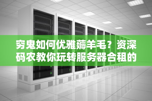 穷鬼如何优雅薅羊毛？资深码农教你玩转服务器合租的终极避坑指南