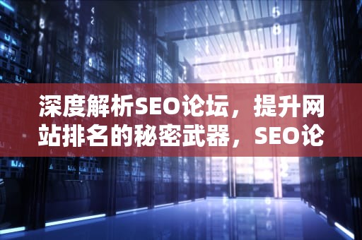 深度解析SEO论坛，提升网站排名的秘密武器，SEO论坛有哪些