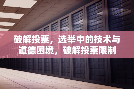破解投票，选举中的技术与道德困境，破解投票限制