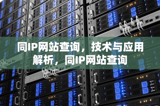 同IP网站查询，技术与应用解析，同IP网站查询