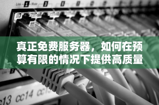 真正免费服务器，如何在预算有限的情况下提供高质量的网络服务，真正免费服务器wrrt