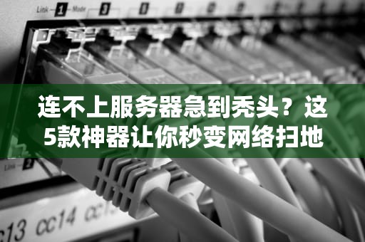 连不上服务器急到秃头？这5款神器让你秒变网络扫地僧！