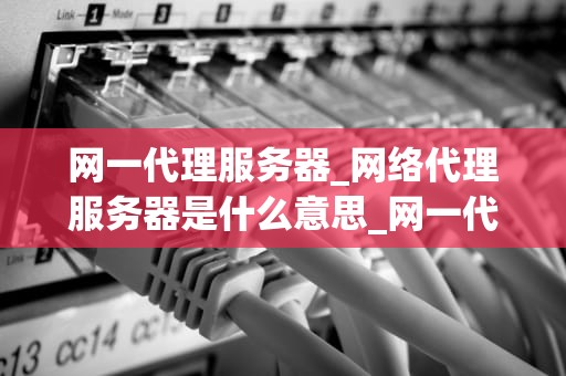 网一代理服务器_网络代理服务器是什么意思_网一代理服务器的全面解析