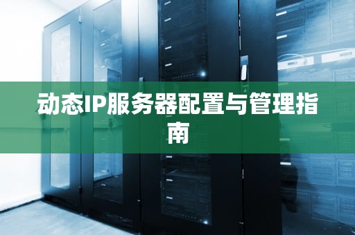 动态IP服务器配置与管理指南