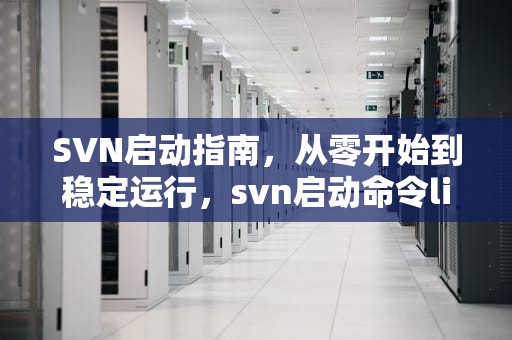 SVN启动指南，从零开始到稳定运行，svn启动命令linux