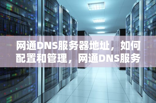 网通DNS服务器地址，如何配置和管理，网通DNS服务器地址