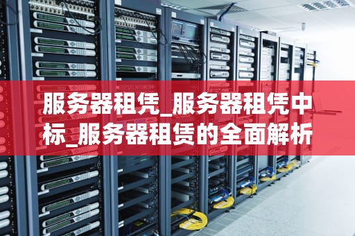服务器租凭_服务器租凭中标_服务器租赁的全面解析