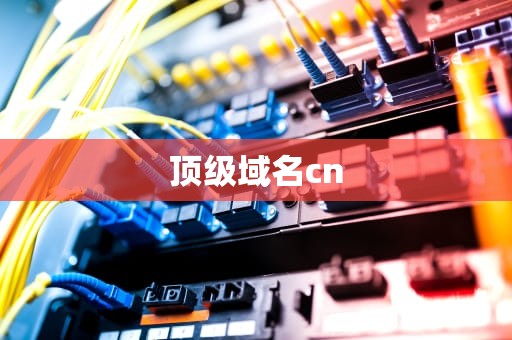 顶级域名cn