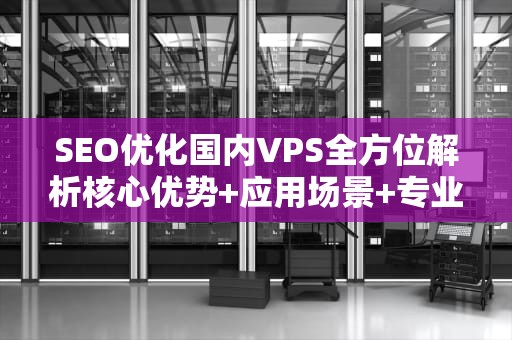 SEO优化国内VPS全方位解析核心优势+应用场景+专业选购指南