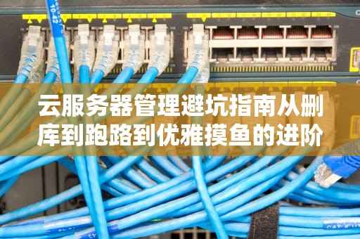 云服务器管理避坑指南从删库到跑路到优雅摸鱼的进阶之路