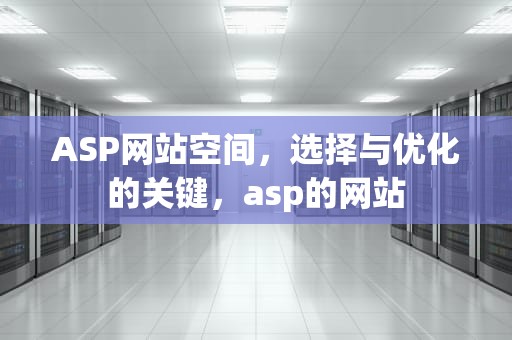 ASP网站空间，选择与优化的关键，asp的网站