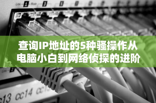 查询IP地址的5种骚操作从电脑小白到网络侦探的进阶指南