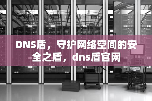 DNS盾，守护网络空间的安全之盾，dns盾官网