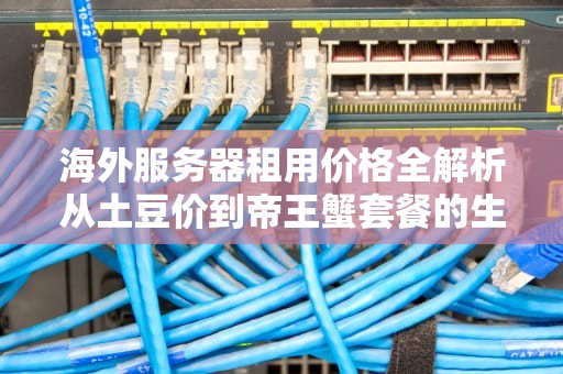 海外服务器租用价格全解析从土豆价到帝王蟹套餐的生存指南