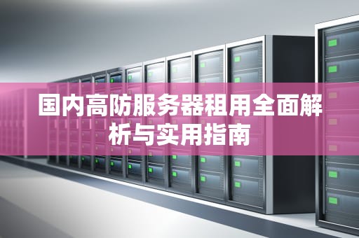 国内高防服务器租用全面解析与实用指南