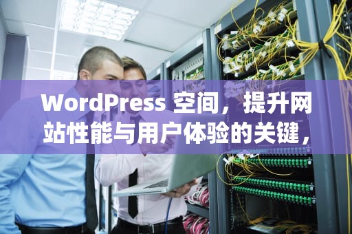 WordPress 空间，提升网站性能与用户体验的关键，wordpress空间推荐