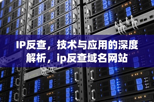 IP反查，技术与应用的深度解析，ip反查域名网站