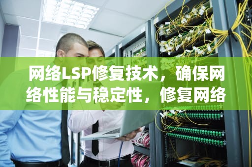 网络LSP修复技术，确保网络性能与稳定性，修复网络lsp什么意思