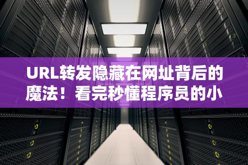 URL转发隐藏在网址背后的魔法！看完秒懂程序员的小心机