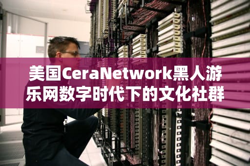 美国CeraNetwork黑人游乐网数字时代下的文化社群运营与商业启示