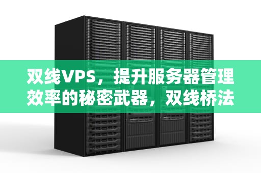 双线VPS，提升服务器管理效率的秘密武器，双线桥法
