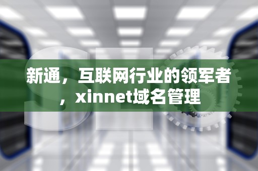 新通，互联网行业的领军者，xinnet域名管理