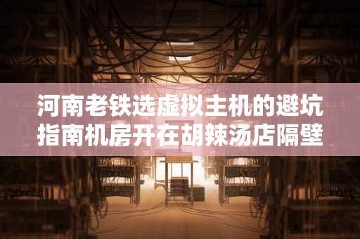 河南老铁选虚拟主机的避坑指南机房开在胡辣汤店隔壁是什么体验？