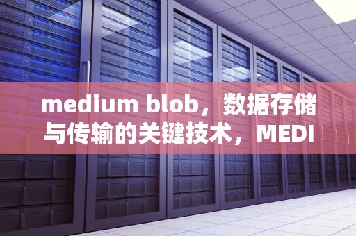 medium blob，数据存储与传输的关键技术，MEDIUMBLOB在idea是什么类型