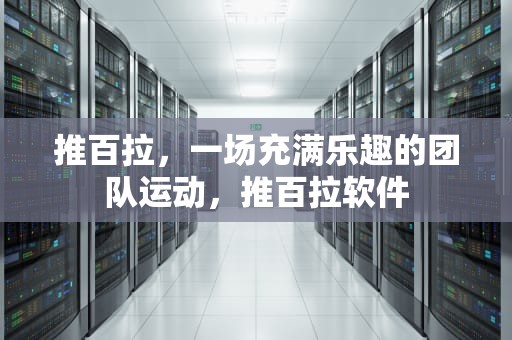 推百拉，一场充满乐趣的团队运动，推百拉软件